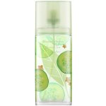 Elizabeth Arden Green Tea Cucumber toaletní voda dámská 100 ml – Hledejceny.cz