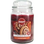 Airpure Cinnamon Spice 510 g – Zboží Mobilmania
