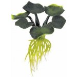 Exo Terra Water Hyacinth 8 cm – Hledejceny.cz