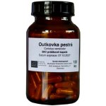 Tyroler Glückspilze Outkovka pestrá Turkey Tail Prášek Bio Coriolus Versicolor Organic Powder kapsle 120 ks – Hledejceny.cz