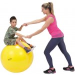 Gymnic Classic 75 cm – Zboží Dáma