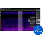 Steinberg SpectraLayers Pro 12 Full Version (Digitální produkt) – Zboží Živě