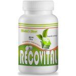 Nutristar Recovital plus Vitamin C 500 tablet – Hledejceny.cz
