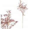 Květina Smil - větev SG7370 RED
