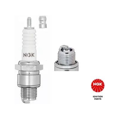 NGK Zapalovací svíčka (4210) – Hledejceny.cz