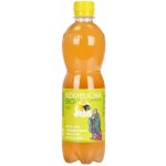 Stevikom Kombucha bancha citron bio 0,5 l – Zboží Dáma