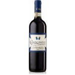 Colognole Chianti Rufina DOCG 2022 14% 0,75 l (holá láhev) – Hledejceny.cz
