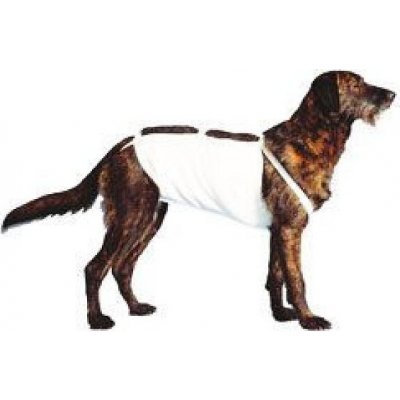 CVET Bandáž břišní č.2 pro psy, 36 cm, pudl 1 ks – Sleviste.cz