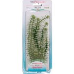 Tetra Hygrophila M 23 cm – Zboží Mobilmania