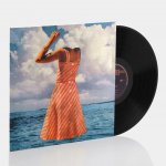 Future Islands - Singles LP – Zboží Mobilmania