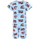 V-Mart Hasiči modrá – Sleviste.cz