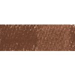 Derwent Pastel v tužce P560 raw umber – Zboží Dáma Derwent Pastel v tužce P560 raw umber – Zboží Dáma