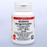 Sinecura slzovka shengyiren yiyiren 40 g instantní prášek – Hledejceny.cz