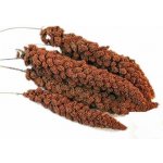 Avicentra Proso senegalské klasy 100 g – HobbyKompas.cz