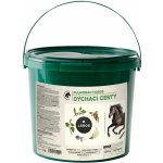 Root&Snoot Pulmoran Dých.cesty pro koně sypaná směs1 kg – Hledejceny.cz
