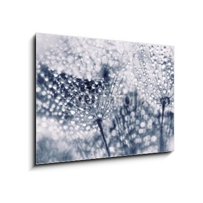 Obraz 1D - 100 x 70 cm - Plant seeds with water drops Semena rostlin s vodními kapkami