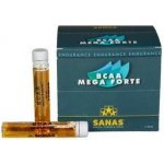 SANAS BCAA MEGA FORTE 660 ml – Hledejceny.cz