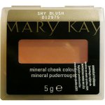 Mary Kay chromafusion tvářenka Shy Blush 4,8 g – Zboží Dáma
