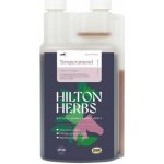 HILTON HERBS Temperamend Liquid 1 l – Hledejceny.cz