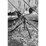 Cygnet Specialist Tripod – Hledejceny.cz