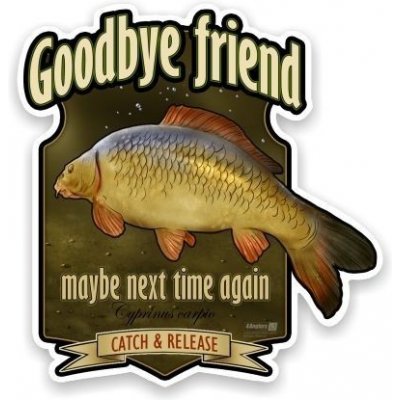 4anglersdesign Rybářská samolepka na auto Good bye friend & catch and release