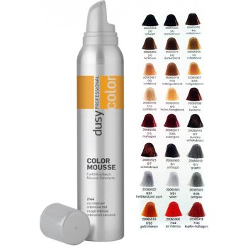 Dusy Color Mousse 3v1 barva péče a styling 8/98 perlová-šedá 200 ml