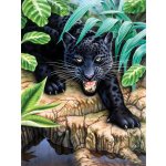 Royal Langnickel Malování podle čísel 22x30 cm-Černý leopard – Zboží Dáma