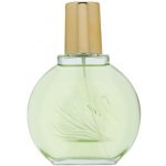 Gloria Vanderbilt Jardin a New York parfémovaná voda dámská 100 ml – Hledejceny.cz