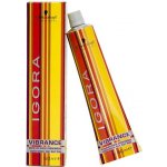 Schwarzkopf Igora VIBRANCE 5-65 Hellbraun Schoko Gold zlatá čokoládová světle hnědá 60 ml – Hledejceny.cz