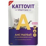 Kattovit Vital Care Anti Hairball losos 85 g – Hledejceny.cz
