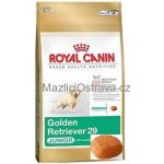 Royal Canin Zlatý retrívr Junior 2 x 12 kg – Hledejceny.cz