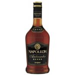 Fernet Stock Napoleon Ambassador 28% 0,7 l (holá láhev) – Zboží Dáma