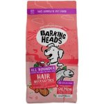 Barking Heads All Hounder Hair Necessities Salmon 12 kg – Hledejceny.cz