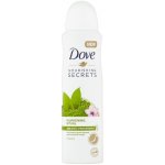Dove Nourishing Secrets Matcha & Sakura deospray 150 ml – Hledejceny.cz