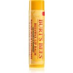 BURT'S BEES Balzám na rty z včelího vosku 4,25 g – Hledejceny.cz