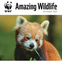 WWF Amazing Wildlife Faszinierende Tierwelt 2024