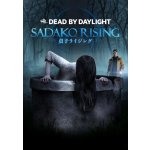 Dead by Daylight - Sadako Rising Chapter – Hledejceny.cz