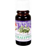 Slow-Natur Essential vonný olej Eukalyptus 10 ml – Hledejceny.cz
