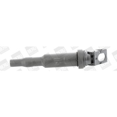 Zapalovací cívka BorgWarner (BERU) ZS324 – Hledejceny.cz