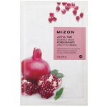 Mizon plátýnková 3D maska s granátovým jablkem Joyful Time Essence Mask Pomegranate 23 g – Zboží Mobilmania