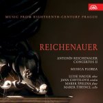 Musica Florea - Reichenauer - Koncerty CD – Sleviste.cz