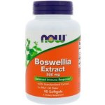 Now Foods Boswellia Extract 500 mg 90 softgel kapslí – Hledejceny.cz