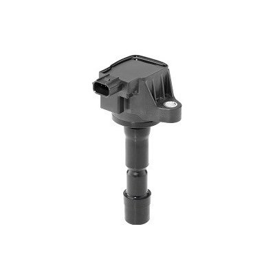Zapalovací cívka BorgWarner (BERU) ZSE210 – Hledejceny.cz