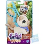 Hasbro Fur Real Friends Walkalots malá kočka – Hledejceny.cz