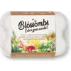 Osivo a semínko Blossombs Semínkové bomby - Dárkový box na vajíčka (6 ks)