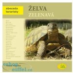 Želva zelenavá - Abeceda teraristy - Velenská Nataša, Brožovaná – Hledejceny.cz