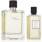 Hermes Terre D Hermes EDT pro muže 100 ml + sprchový gel 80 ml dárková sada – Hledejceny.cz