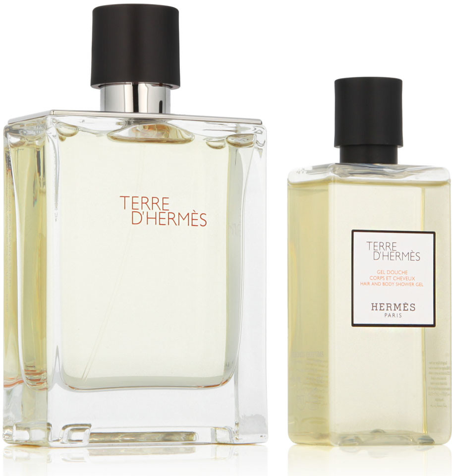 Hermes Terre D Hermes EDT pro muže 100 ml + sprchový gel 80 ml dárková sada