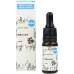 Navia pleťové sérum Bakuchiol 10 ml – Zboží Dáma