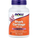 NOW Foods Shark Cartilage 750 mg 100 kapslí – Hledejceny.cz